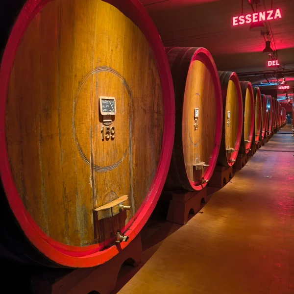 Large wooden barrels inside the Braulio cellar, a must-see on our Alps & Dolomites bike tours