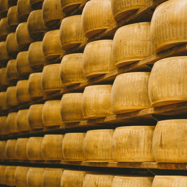 Wheels of Parmigiano Reggiano aging in a traditional dairy in Parma