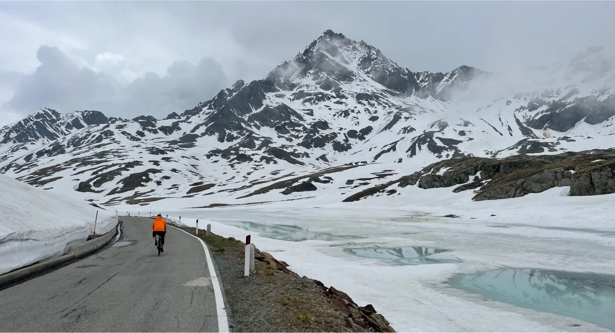 Cyclist riding through the snow walls of Passo Gavia in early summer