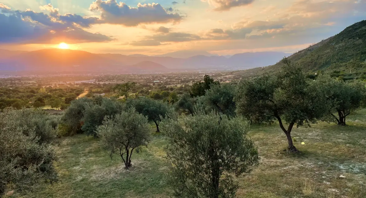 Olive groves and rolling hills of Abruzzo at sunset during the E-Bike Tour