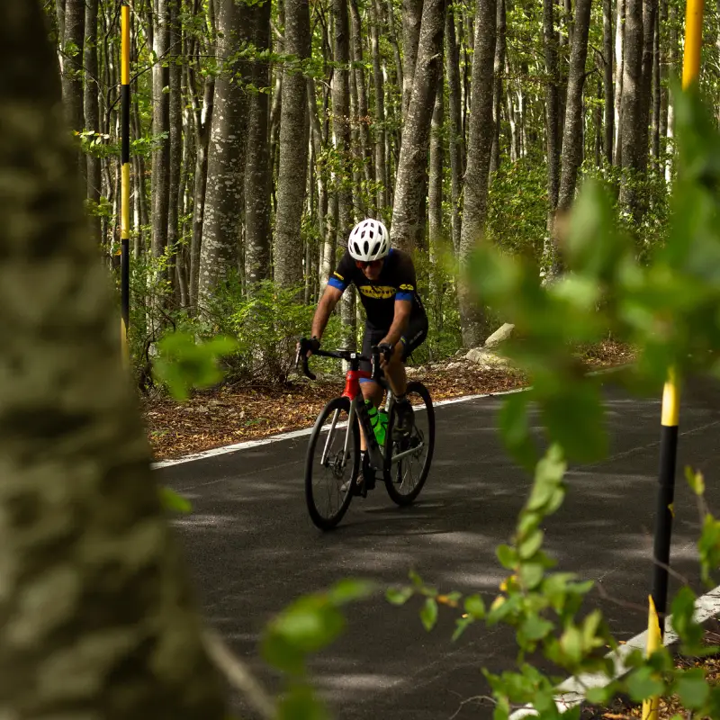 Cyclist climbing through the forest on the Blockhaus ascent in the Majella mountains, Abruzzo