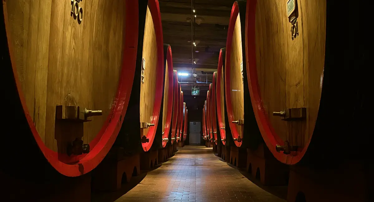 Inside the historic Braulio cellar in Bormio, where oak barrels age the famous alpine amaro