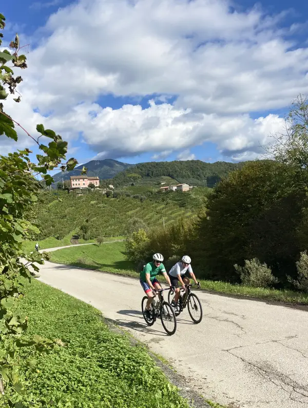 Two cyclists riding through the UNESCO-listed Prosecco Hills in Veneto