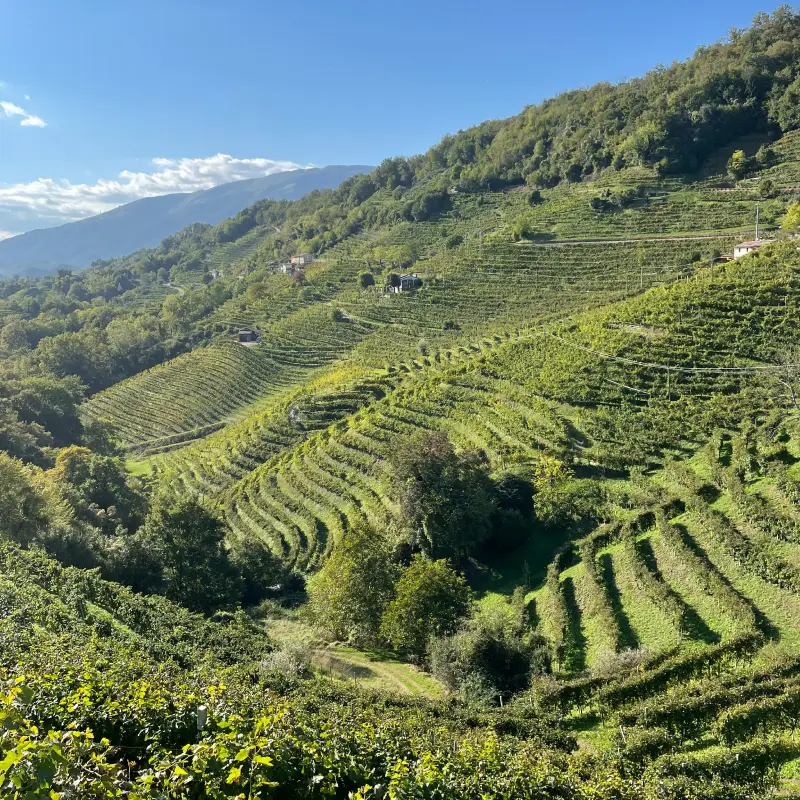 Panoramic view of the vineyards in the Prosecco Hills near Valdobbiadene