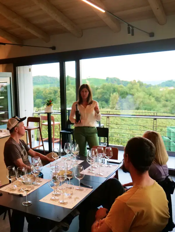 Wine tasting experience discovering Prosecco in the hills of Conegliano Valdobbiadene