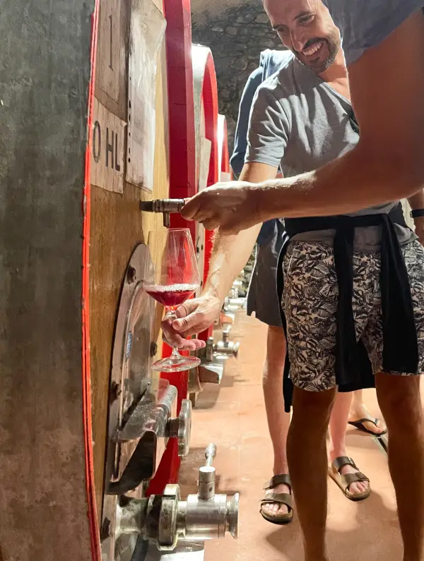 Wine tasting in a traditional Valtellina cellar discovering local reds after a day on the Stelvio and Dolomites Bike Tour
