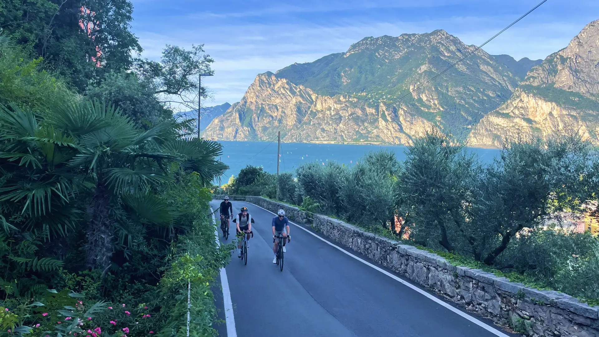 Cyclists riding along a scenic road above Lake Garda surrounded by olive trees and dramatic alpine cliffs in northern Italy
