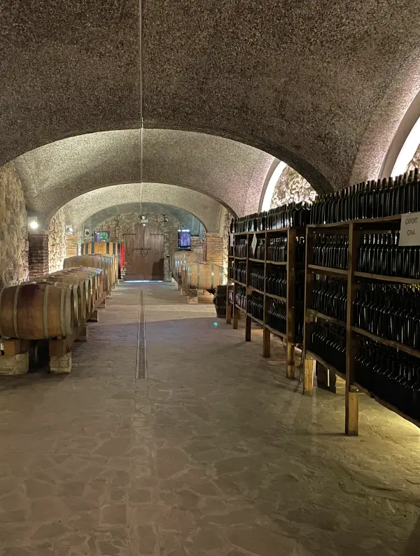 Historic wine cellar in Trentino with barrels and bottles aging fine local wines near Lake Garda