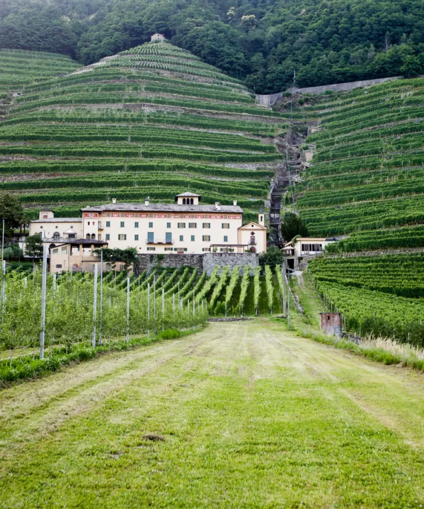 Traditional winery nestled among steep terraced vineyards in Valtellina