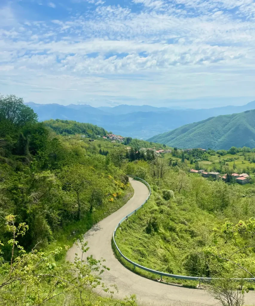 Curving road through dense forest on Passo Cirone, a peaceful hidden climb in northern Italy